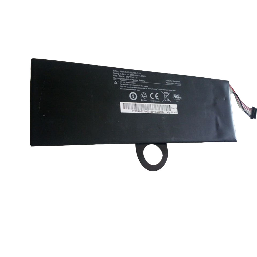 Batería para SQU-1307-4ICP/48/hasee-TL10-2S2100-G1L4